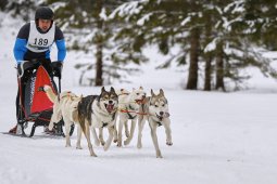 Kandersteg 2014 WM