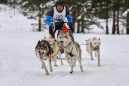Kandersteg 2014 WM