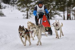 Kandersteg 2014 WM