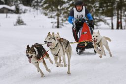 Kandersteg 2014 WM