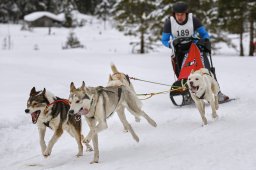 Kandersteg 2014 WM