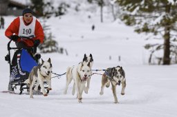 Kandersteg 2014 WM