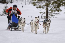 Kandersteg 2014 WM
