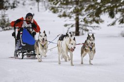 Kandersteg 2014 WM