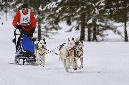 Kandersteg 2014 WM