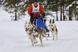 Kandersteg 2014 WM