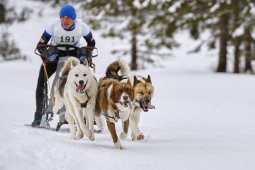 Kandersteg 2014 WM