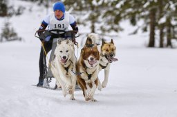 Kandersteg 2014 WM