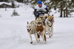 Kandersteg 2014 WM