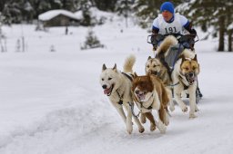 Kandersteg 2014 WM