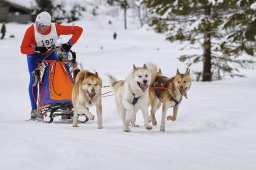 Kandersteg 2014 WM