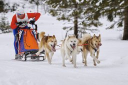 Kandersteg 2014 WM