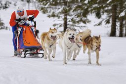 Kandersteg 2014 WM