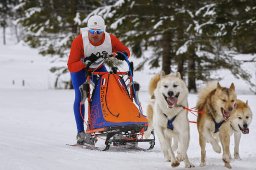 Kandersteg 2014 WM