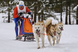 Kandersteg 2014 WM