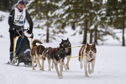 Kandersteg 2014 WM