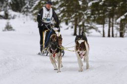 Kandersteg 2014 WM
