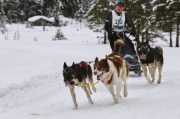 Kandersteg 2014 WM
