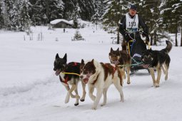 Kandersteg 2014 WM