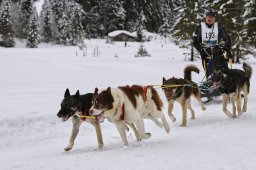 Kandersteg 2014 WM