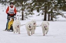 Kandersteg 2014 WM