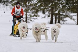 Kandersteg 2014 WM
