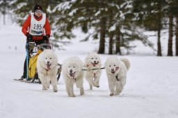 Kandersteg 2014 WM