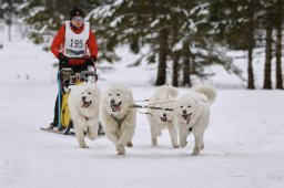 Kandersteg 2014 WM