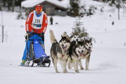 Kandersteg 2014 WM