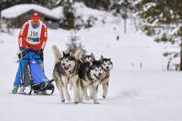 Kandersteg 2014 WM