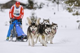 Kandersteg 2014 WM