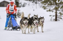 Kandersteg 2014 WM