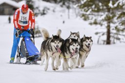 Kandersteg 2014 WM