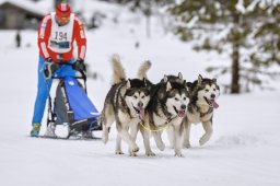 Kandersteg 2014 WM
