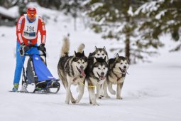 Kandersteg 2014 WM