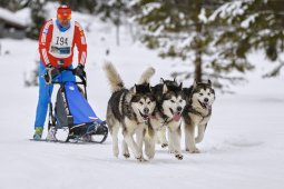 Kandersteg 2014 WM