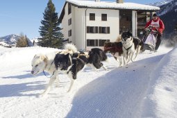 Spluegen 2014