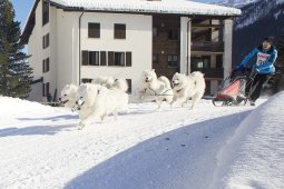 Spluegen 2014