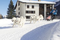 Spluegen 2014