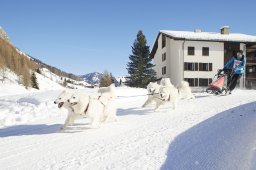Spluegen 2014