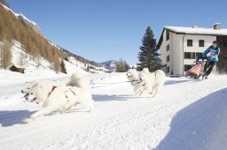 Spluegen 2014