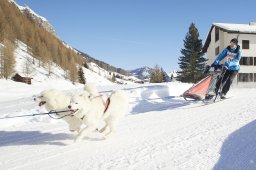 Spluegen 2014