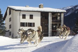 Spluegen 2014