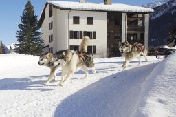 Spluegen 2014