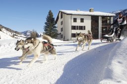 Spluegen 2014