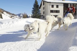 Spluegen 2014