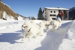 Spluegen 2014
