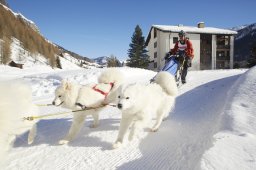 Spluegen 2014