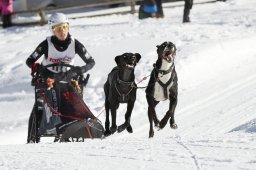 Spluegen 2014