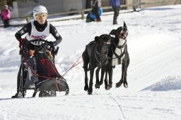 Spluegen 2014